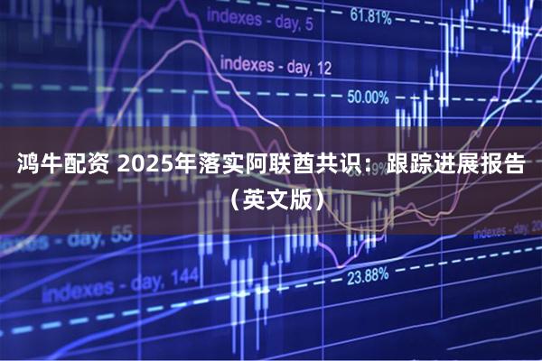 鸿牛配资 2025年落实阿联酋共识:跟踪进展报告(英文版)