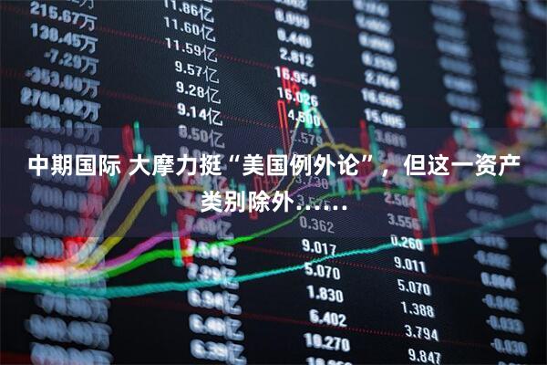 中期国际 大摩力挺“美国例外论”,但这一资产类别除外……